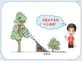3.2 不同位置觀察物體的范圍-北師大版數(shù)學(xué)六年級上冊課件+練習(xí)