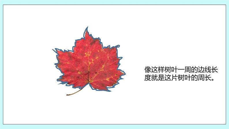3.2《认识周长》课件05