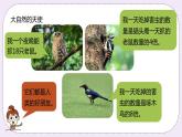 2.3《两位数乘一位数》PPT课件