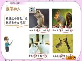 青岛五四版数学四上5.3 小数的大小比较 课件