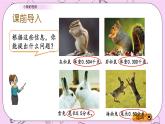 青岛五四版数学四上5.4 小数的性质 课件