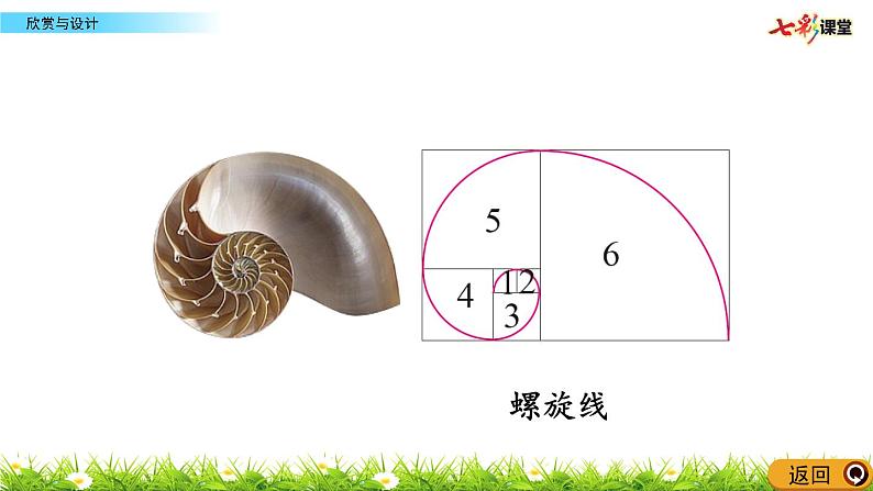 北师大版数学6年级上册 第一单元 1.4 欣赏与设计 （同步课件+教案+课时练）07