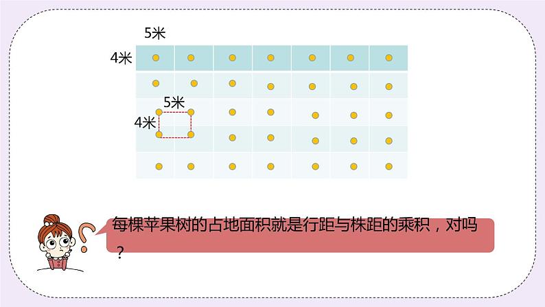 7.4《种植问题》PPT课件第5页