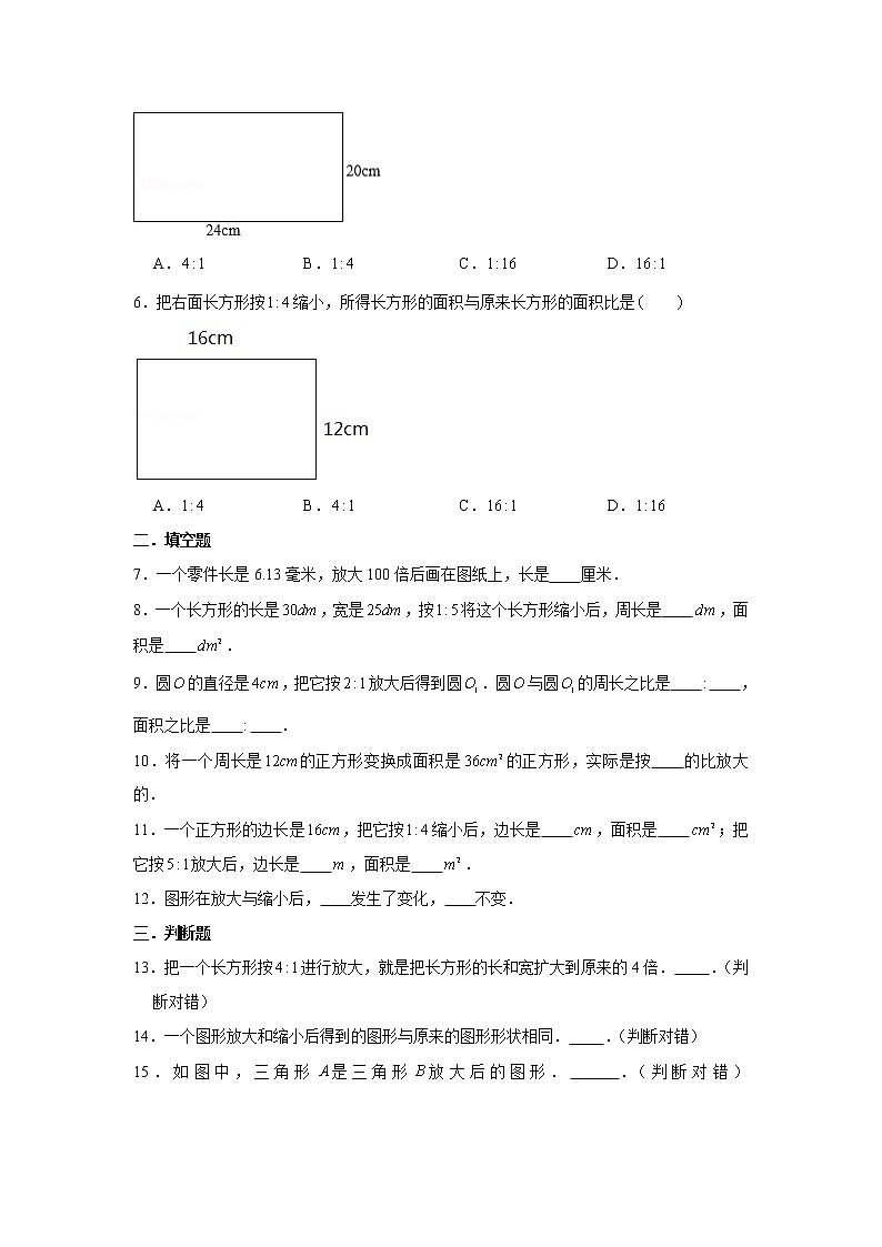 【基础+提升】2.4 图形的放大和缩小 六年级下册数学同步练习 北师大版（含答案）02