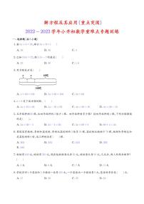 2022-2023学年小升初数学重难点专题训练 解方程及其应用
