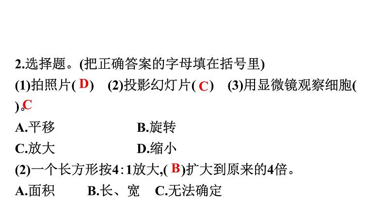 第3课时　图形的缩放第4页