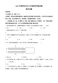 【小升初真题卷】2021-2022学年山东省枣庄市滕州市教研协作区青岛版六年级下册期末教学质量监测数学试卷（原卷版+解析版）