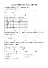 【小升初真题卷】2021-2022学年辽宁省盘锦市双台子区人教版六年级下册期末测试数学试卷（原卷版+解析版）