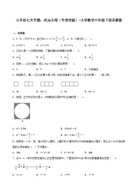 式与方程——小学数学六年级下册苏教版小升初专项突破学案