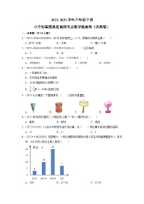 小升初质量检测-2022-2023学年六年级下册小升初高频考点数学提高卷（苏教版）