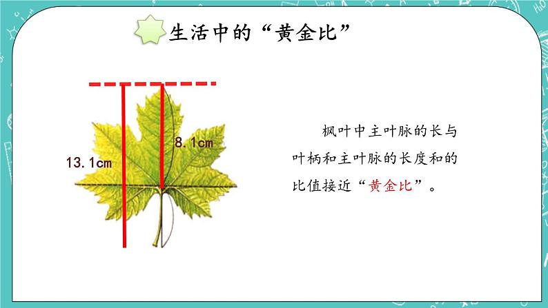 第三单元 数学百花园3.1 黄金比 课件08