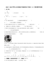 2022-2023学年山东省临沂市临沭县六年级上册期末测试数学试卷