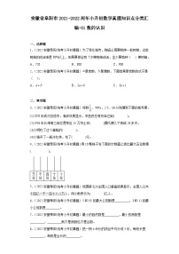 安徽省阜阳市2021-2022两年小升初数学真题知识点分类汇编-01数的认识