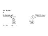 人教版（精编）小学数学五年级下册因数和倍数3质数和合数教学课件