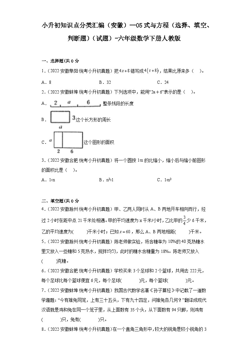 小升初知识点分类汇编（安徽）--05式与方程（选择、填空、判断题）（试题）-六年级数学下册人教版01