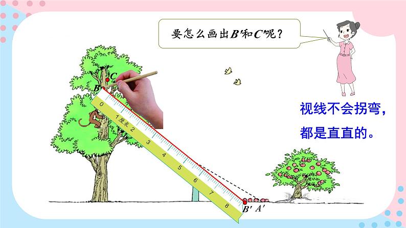 北师大版数学六年级上册 3.2观察的范围第7页