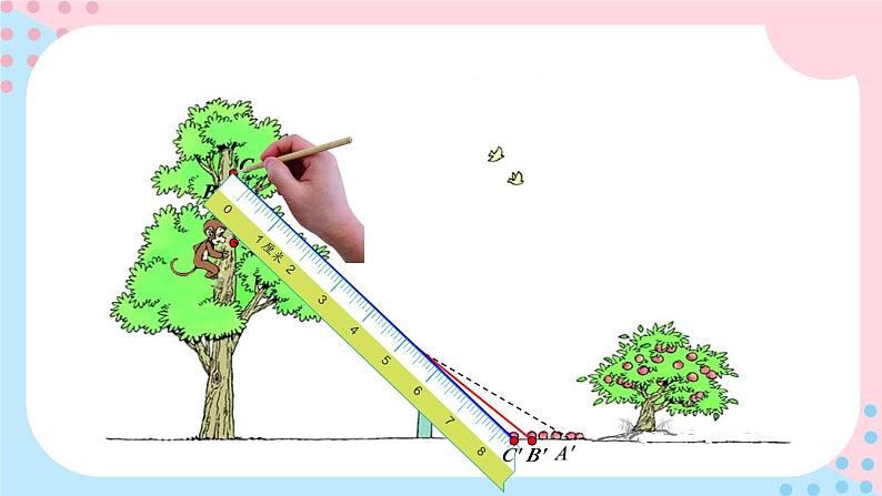 北师大版数学六年级上册 3.2观察的范围第8页