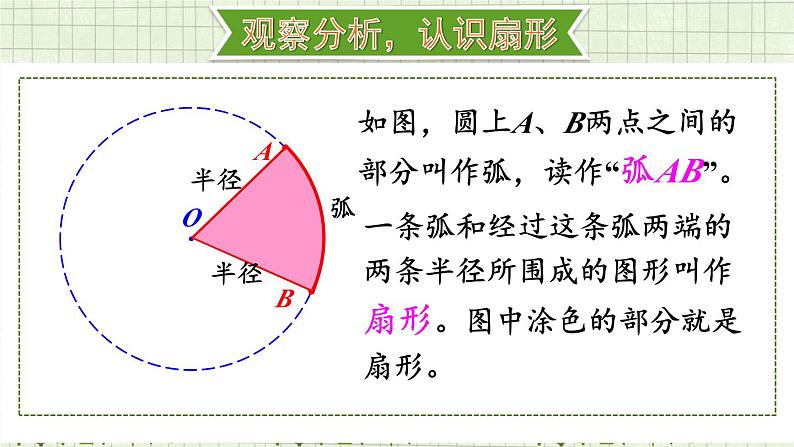 人教版数6年级上册 5 圆  4.扇形 PPT课件+教案+导学案04