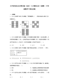 小升初知识点分类汇编（北京）-01数的认识（试题）-六年级数学下册北京版