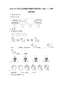 山东省潍坊市高新技术产业开发区实验学校2020-2021学年一年级上学期期中数学试卷