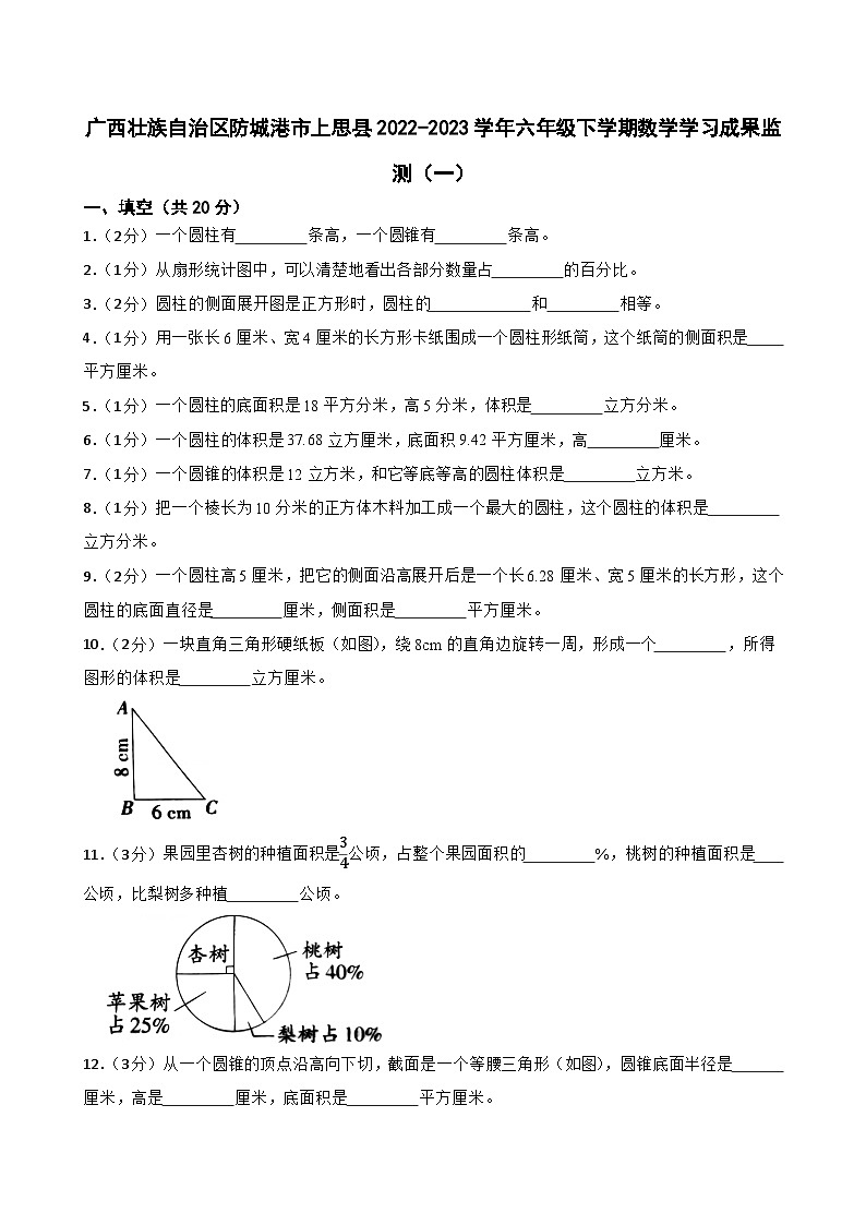 广西壮族自治区防城港市上思县2022-2023学年六年级下学期数学学习成果监测（一）01