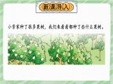 蘇教版四年級上冊 5.1解決問題的策略（1）課件PPT