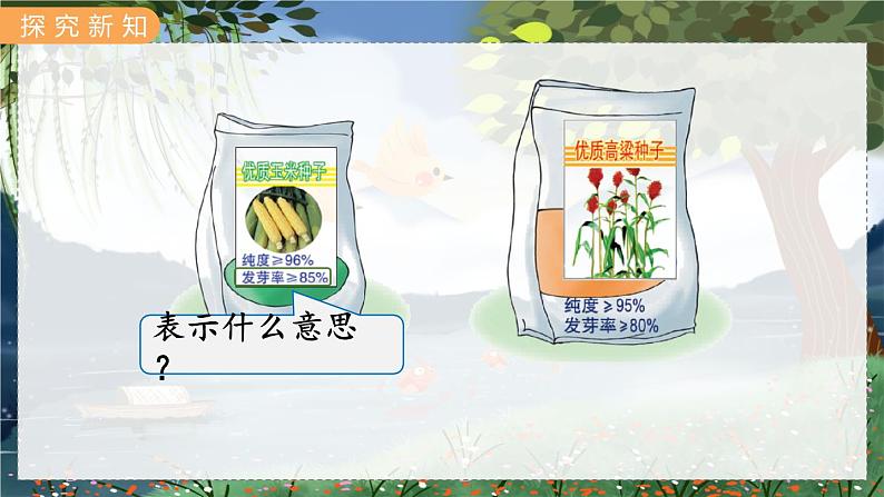 第4课时  求百分率第3页