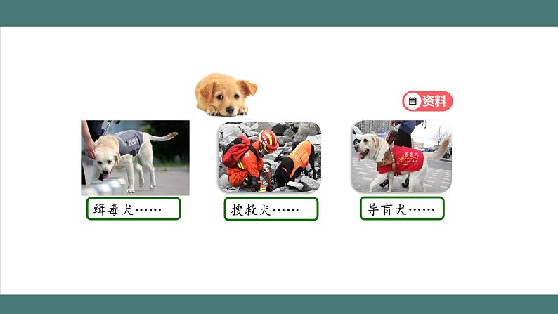 积的近似数+第5页