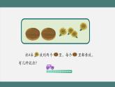 3.4 分与合（课件+教学设计+学习任务单）一年级上册数学人教版