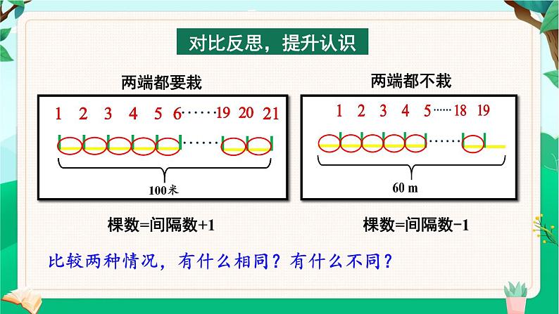 第2课时 植树问题（2）第7页