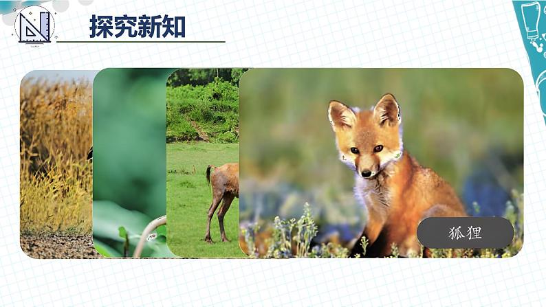 第1课时 三位数加三位数（1）第3页