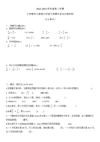 2022-2023第二学期六年级下册期中卷（含答案）