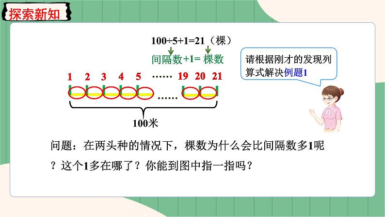 7.1 两端都栽的植树问题（课件+教案）-五年级上册数学人教版08