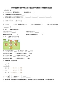 2023届贵州省毕节市大方三联实验学校数学三下期末检测试题含解析