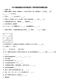 2023届河南省驻马店市确山县三下数学期末检测模拟试题含解析