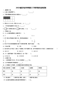 2023届驻马店市驿城区三下数学期末监测试题含解析