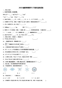 2023届新野县数学三下期末监测试题含解析