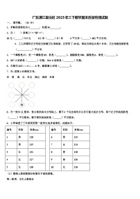 广东湛江坡头区2023年三下数学期末质量检测试题含解析