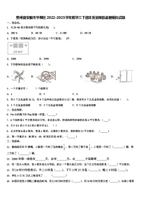 贵州省安顺市平坝区2022-2023学年数学三下期末质量跟踪监视模拟试题含解析