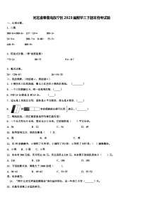 河北省秦皇岛抚宁区2023届数学三下期末统考试题含解析