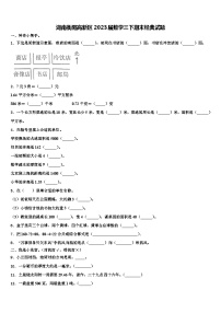 湖南衡阳高新区2023届数学三下期末经典试题含解析