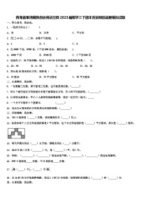 青海省果洛藏族自治州达日县2023届数学三下期末质量跟踪监视模拟试题含解析