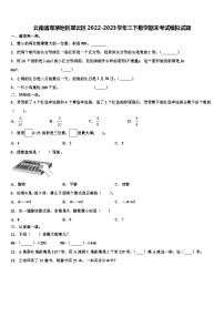 云南省思茅地区翠云区2022-2023学年三下数学期末考试模拟试题含解析