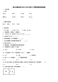 周口市商水县2022-2023学年三下数学期末检测试题含解析