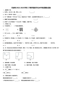 巴彦县2022-2023学年三下数学期末学业水平测试模拟试题含解析