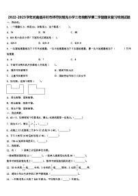 2022-2023学年河南省开封市祥符区阳光小学三年级数学第二学期期末复习检测试题含解析