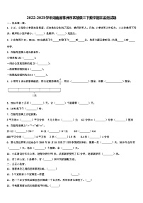 2022-2023学年湖南省株洲市茶陵县三下数学期末监测试题含解析