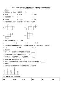 2022-2023学年湖北宜昌市远安三下数学期末统考模拟试题含解析