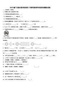 2023届广东省汕尾市陆河县三下数学期末教学质量检测模拟试题含解析