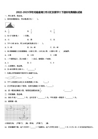 2022-2023学年河南省周口市川汇区数学三下期末经典模拟试题含解析